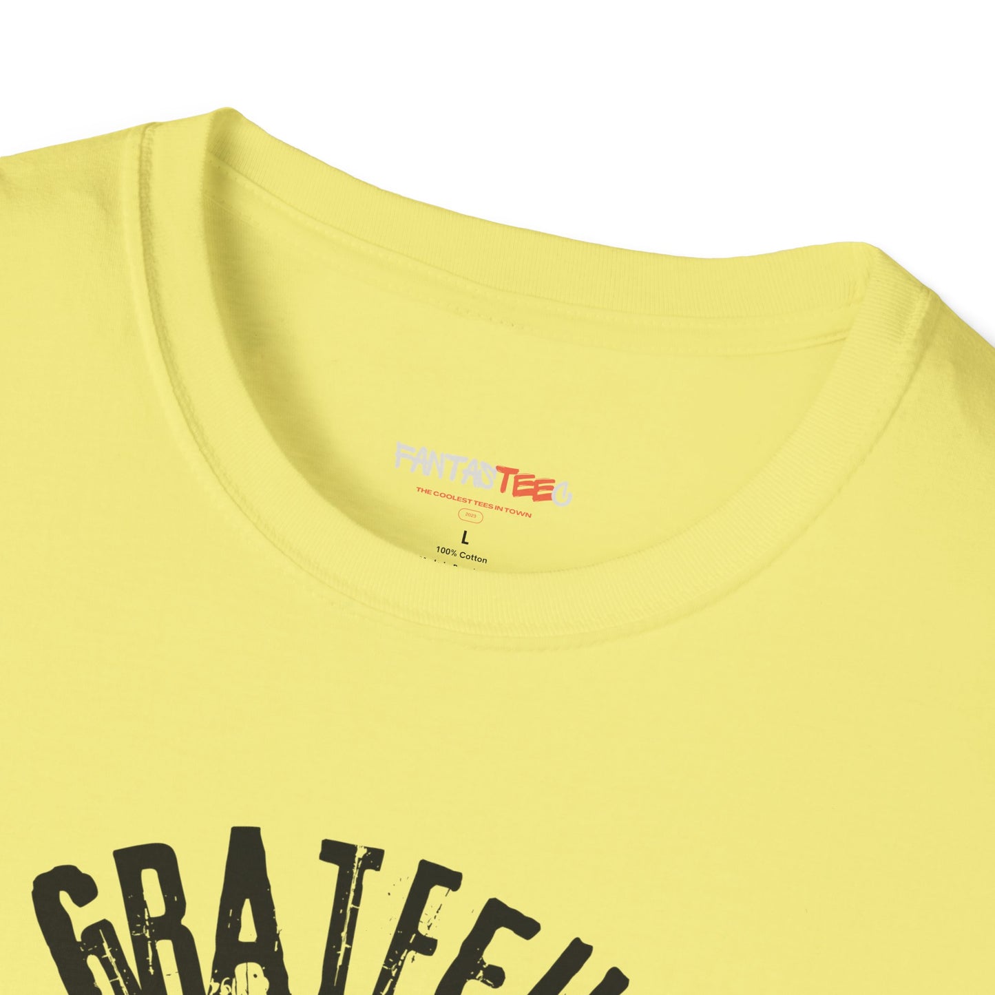 Grateful Dead Inspired Unisex T-Shirt, Softstyle Tee for Music Lovers, Psychedelic Shirt, Festival Apparel, Unique Gift Idea
